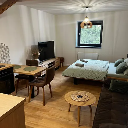 Apartmany V Javorne Na Sumave Cachrov Exterior photo